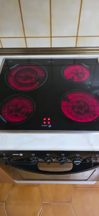 Horno y vitrocerámica Fagor