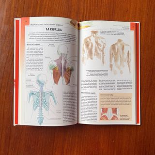 Manuales Parramón Anatomía Artística (Spanish E...