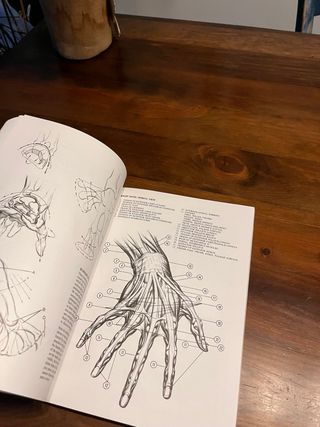 Drawing Dynamic Hands