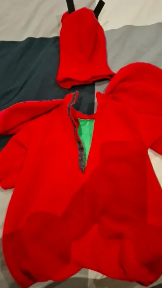 Disfraz mariquita completo