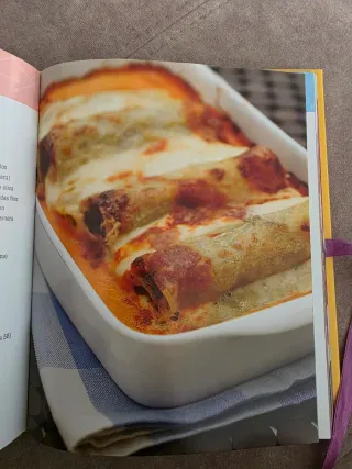 1 PICADILLO 100 PLATOS- PARRAGON