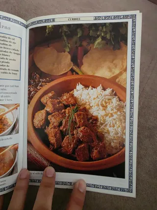 Deliociosos platos al curry