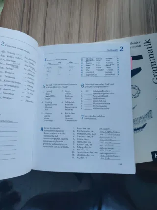 GSG.GRAMATICA ESENCIAL DEL ALEMAN (Gramatica Al...