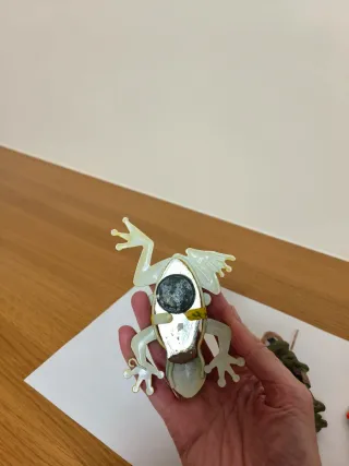 Imanes de nevera ranas