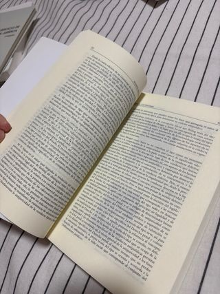 TEORÍA DEL DELITO (Spanish Edition)