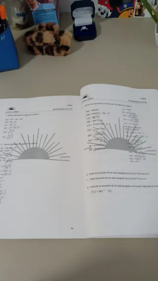 Libro matematicas