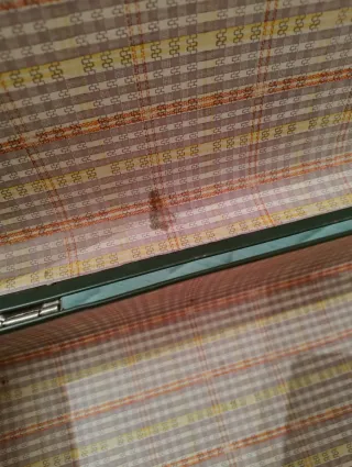 Valigetta vintage verde scuro bottiglia