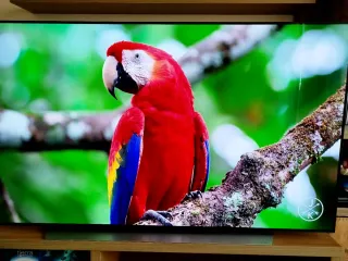 LG OLED CX 65 TV