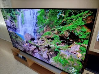 LG OLED CX 65 TV