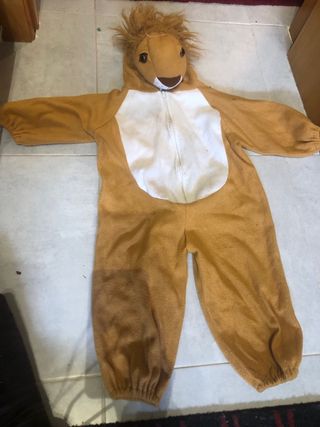 Disfraz de León para Niños