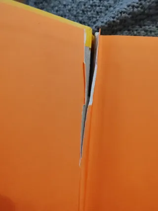 Mi primer gran libro de los dinosaurios