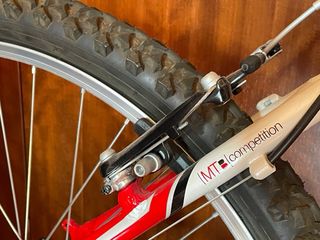 Bicicleta de Montaña