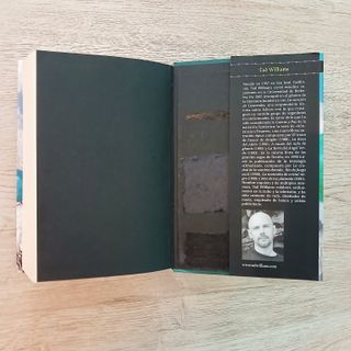 Otherland IV, Mar de Luz Plateada