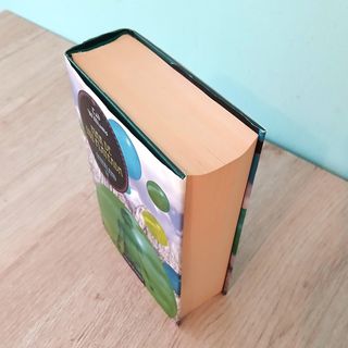 Otherland IV, Mar de Luz Plateada