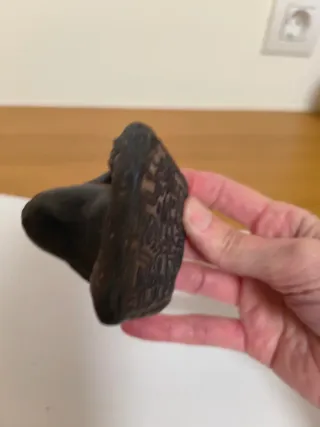 Sello de rana de terracota