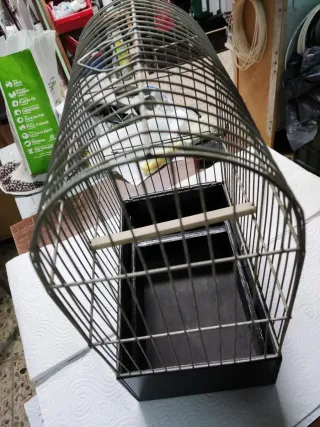 Jaulas Cúpula para Postura Negra