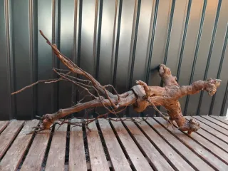 Raíz/tronco Decoración acuario OFERTA SOLO HOY!