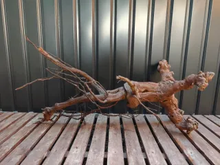 Raíz/tronco Decoración acuario OFERTA SOLO HOY!