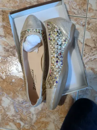 Zapatos de Fiesta Dorados y Plateados