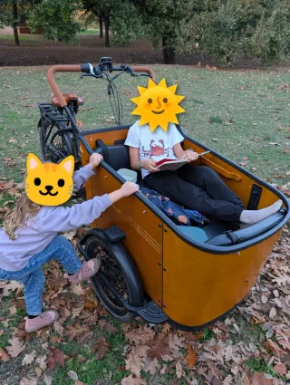 Bicicleta Carga Aitour Familiar