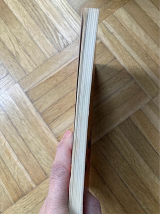 Tonico y el Secreto de Estado