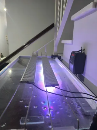 Acuario y mueble de 270 litros