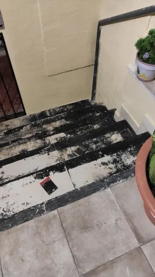 Servicios de pintura y decoración