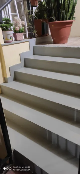 Servicios de pintura y decoración