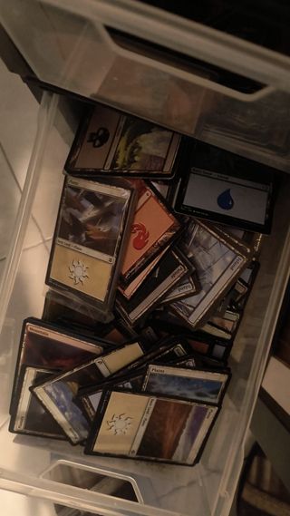 Magic The Gathering 100 Terre Base basic lands