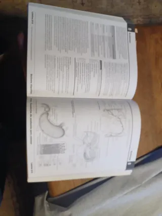 Netter Cuaderno de anatomía para colorear (2ª ed.)