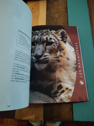 Guia de La Ménagerie du jardín des Plantes Paris