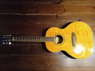 Guitarra Fender GDO 300 AMB