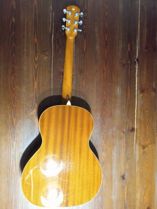 Guitarra Fender GDO 300 AMB