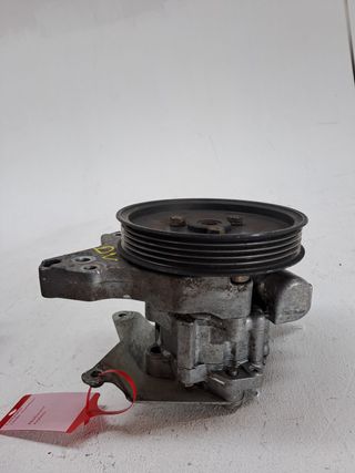 BOMBA DIRECCION LAND ROVER FREELANDER (LN) (2)