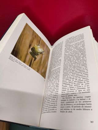 Navarra. Guía ecológica y paisajística