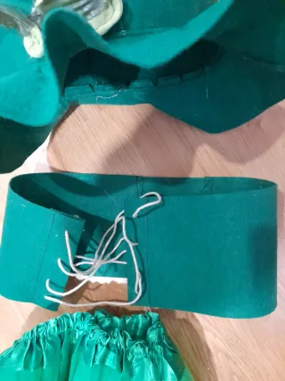 Disfraz verde completo