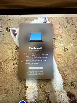 MacBook Air 13 2020 Gris Espacial