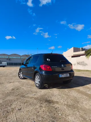 Peugeot 307 2004