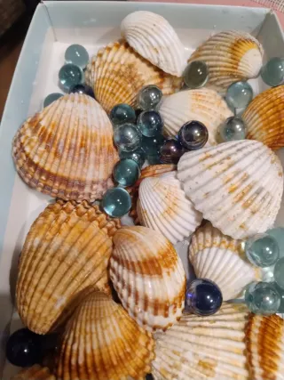 Conchas y Bolas Decorativas