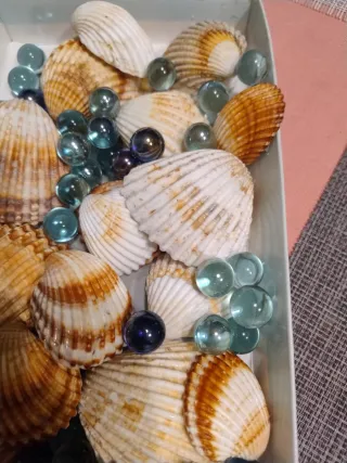 Conchas y Bolas Decorativas