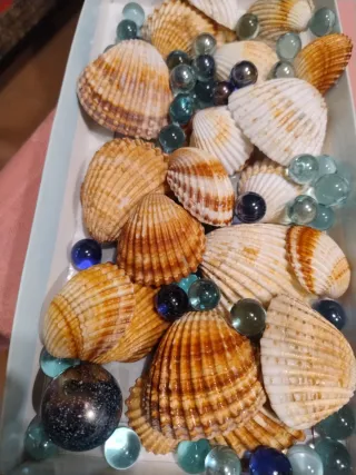 Conchas y Bolas Decorativas