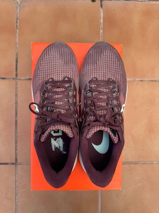 Nike Air Zoom Pegasus 39 Talla 40