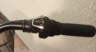 Bicicleta Regina Negra con Cesta