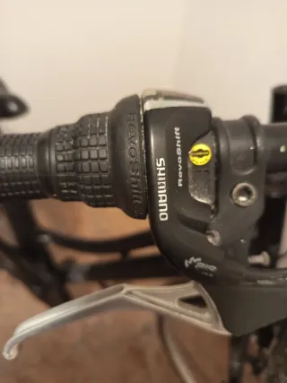 Bicicleta Regina Negra con Cesta