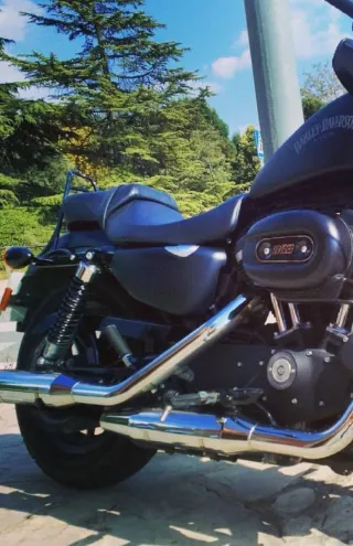 Respaldo Sissy Bar Harley Davidson Sportster