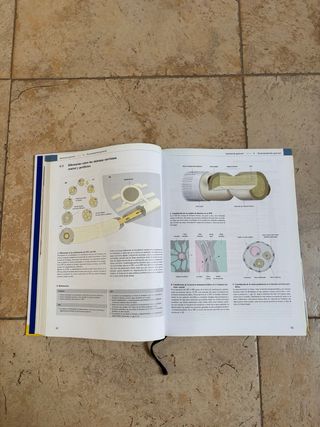 Prometheus texto y atlas de anatomía. Lote 3 tomos