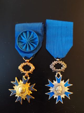 Lote militar francés: Casco, medallas y diploma