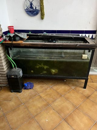 Pecera con depuradora