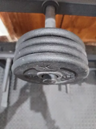 Discos de pesas (varios kg disponibles)