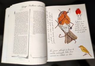 Cuaderno Campo Castilla y León Extremadura 1996